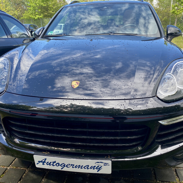 Porsche Cayenne из Германии (47348)