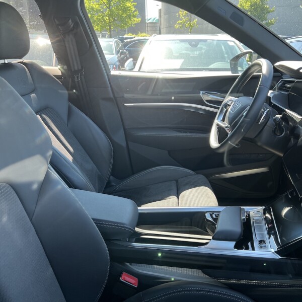 Audi e-tron из Германии (74667)