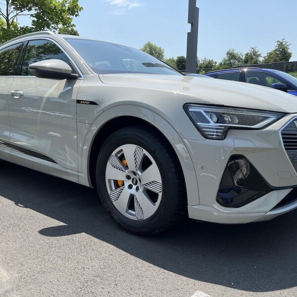 Audi e-tron из Германии (75396)
