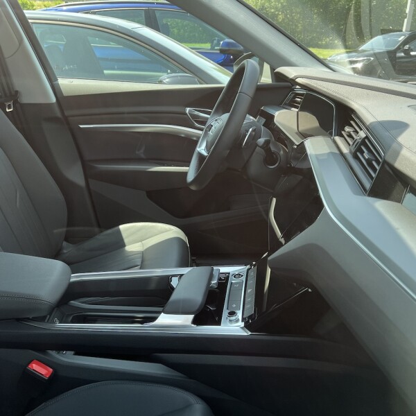 Audi e-tron из Германии (75430)