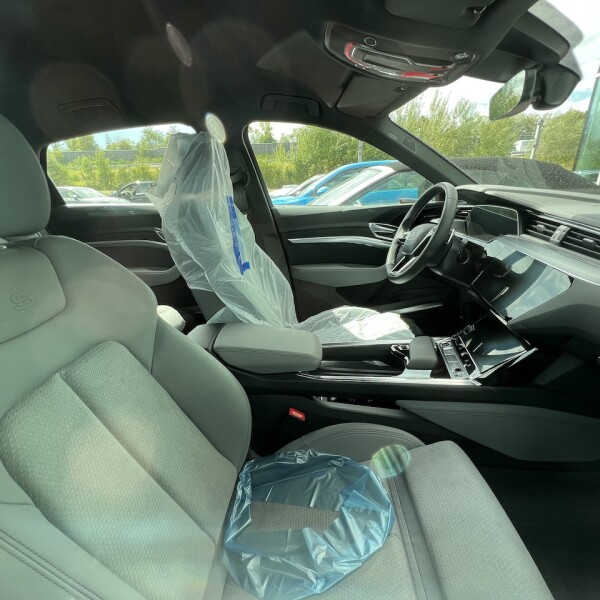Audi e-tron из Германии (77411)