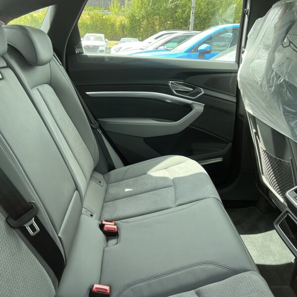 Audi e-tron из Германии (77412)