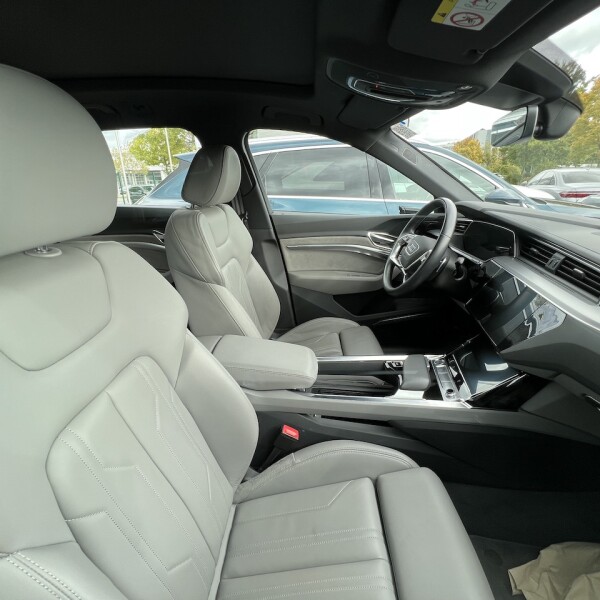 Audi e-tron из Германии (78642)