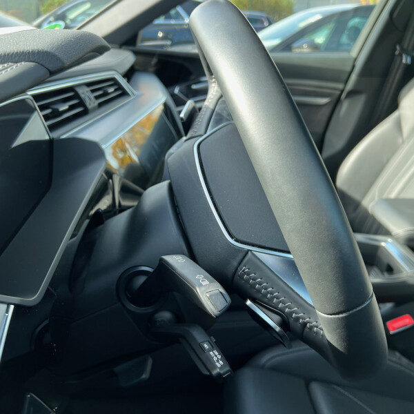 Audi e-tron из Германии (79901)
