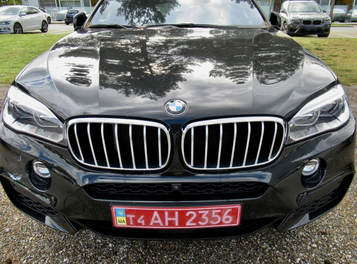 BMW X6 xDrive 40d 313PS M-Paket  З Німеччини (35356)