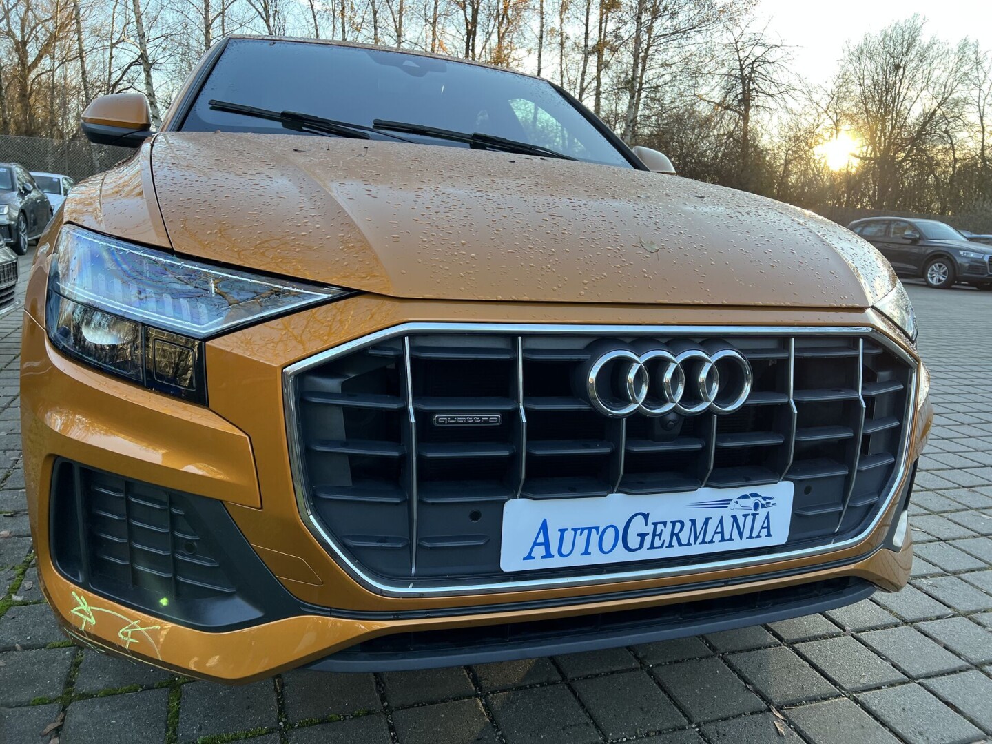 Audi Q8 50TDI 286PS S-Line Matrix Individual З Німеччини (84839)