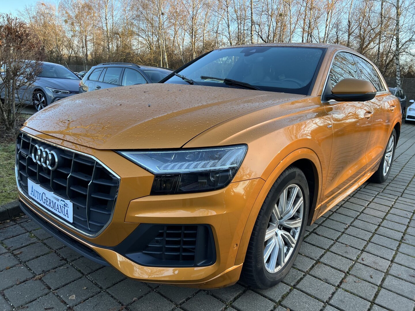 Audi Q8 50TDI 286PS S-Line Matrix Individual З Німеччини (84845)