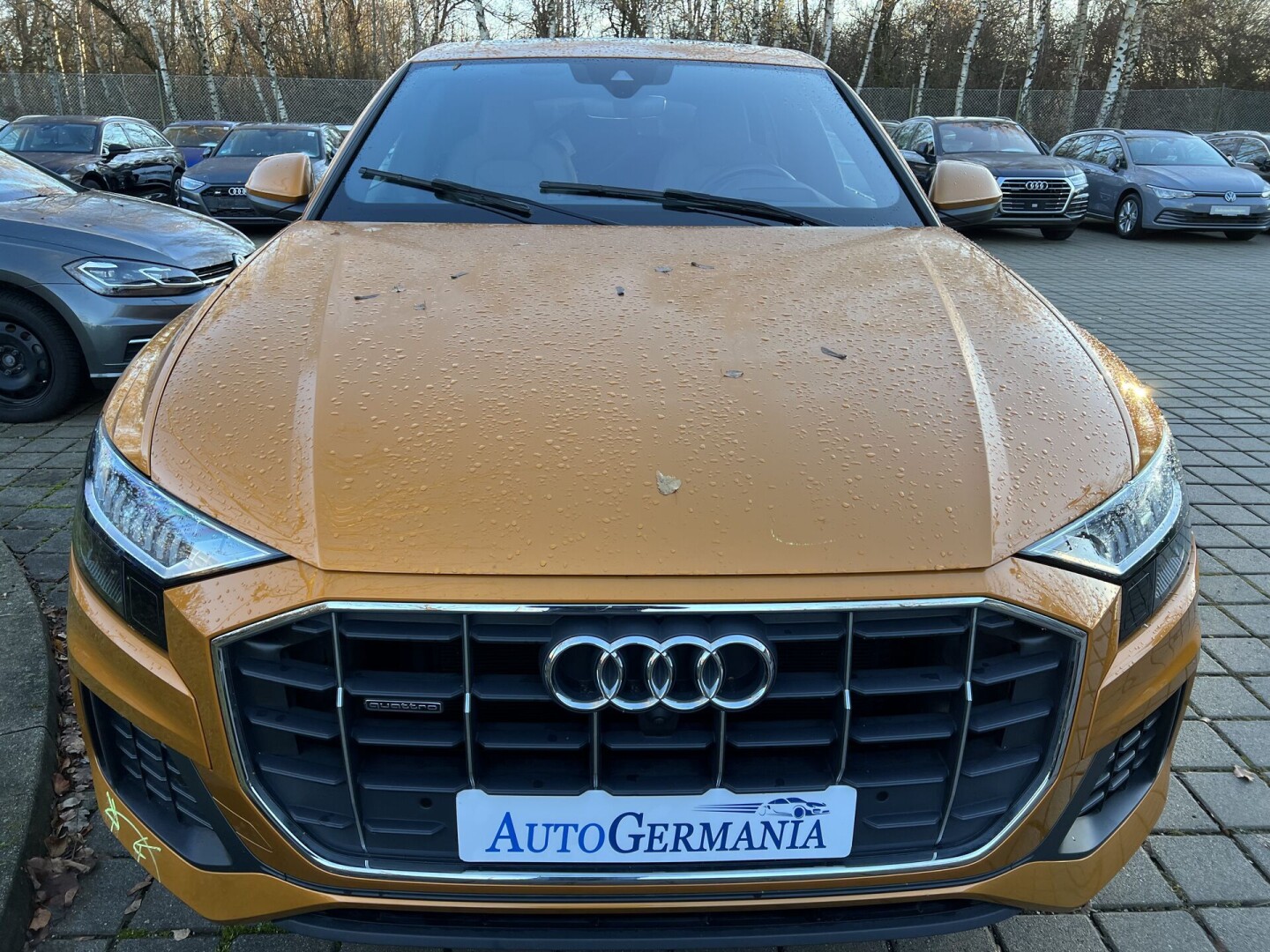 Audi Q8 50TDI 286PS S-Line Matrix Individual З Німеччини (84838)