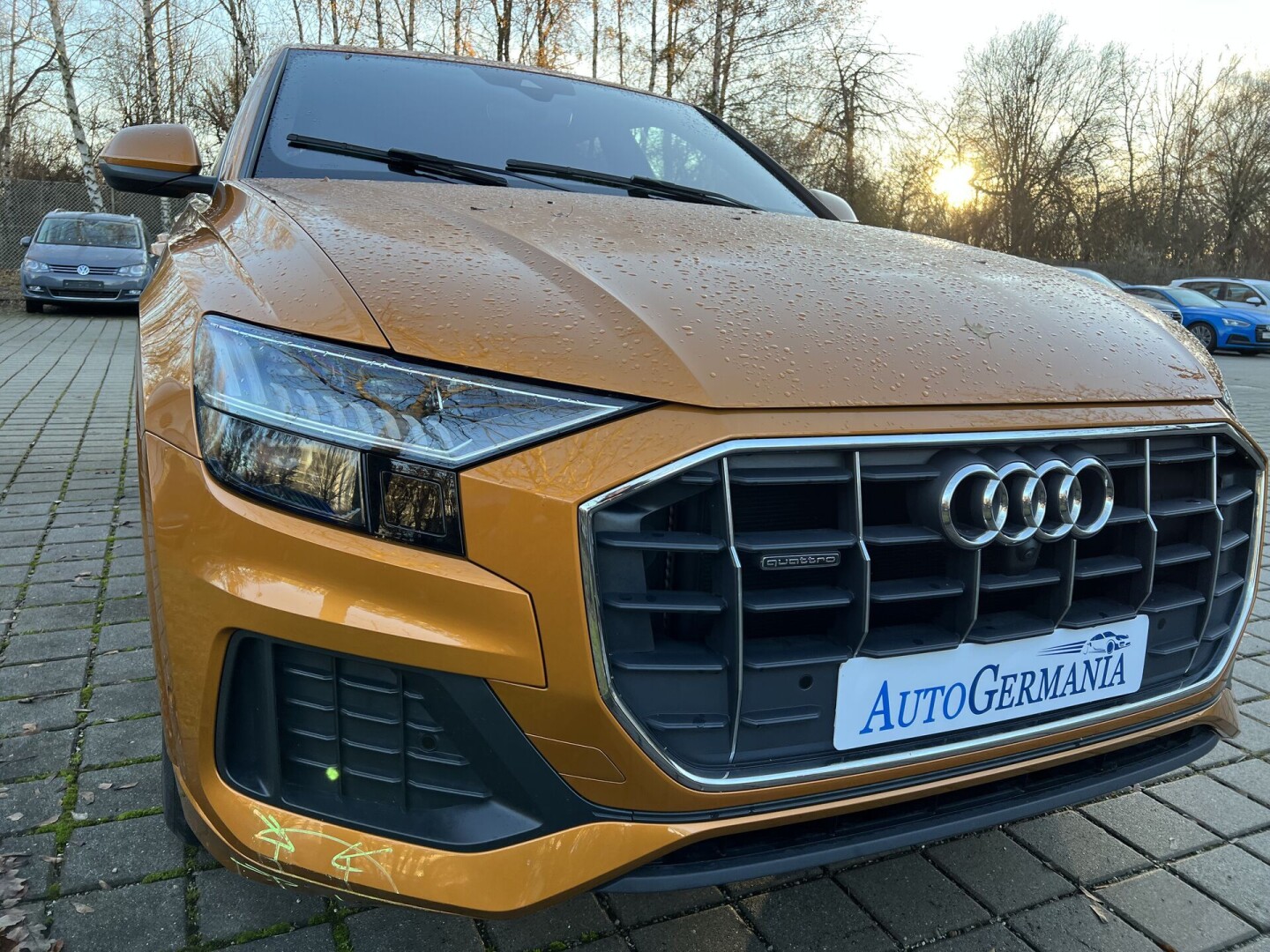 Audi Q8 50TDI 286PS S-Line Matrix Individual З Німеччини (84841)