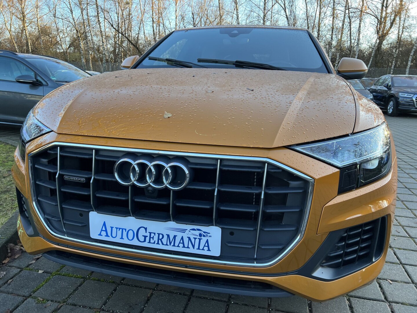 Audi Q8 50TDI 286PS S-Line Matrix Individual З Німеччини (84843)