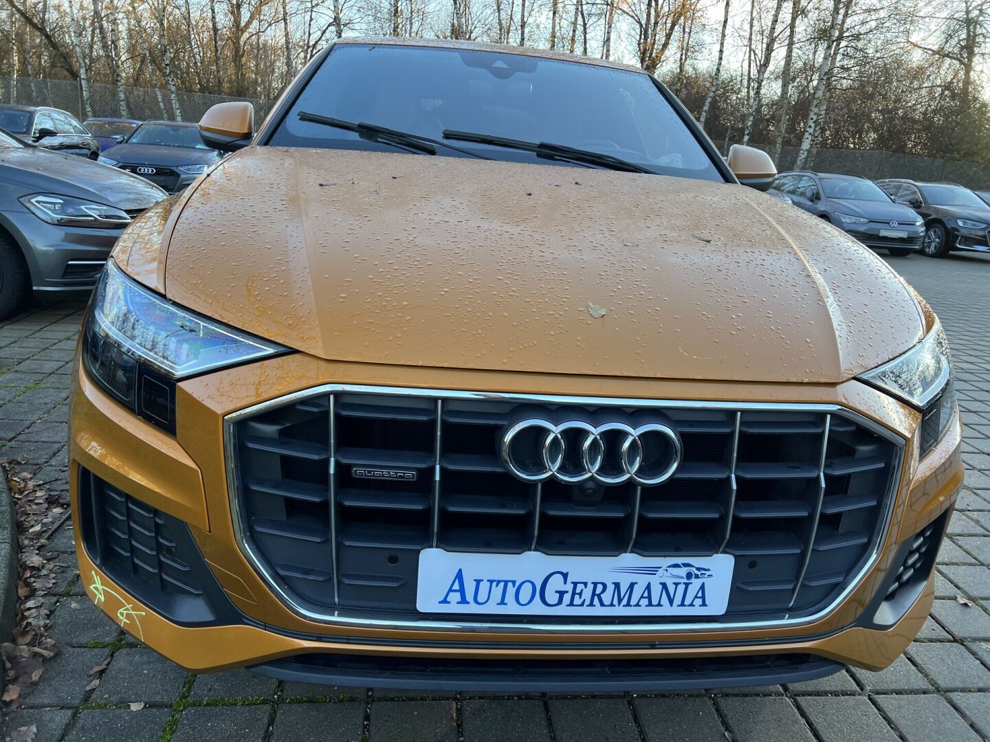 Audi Q8 50TDI 286PS S-Line Matrix Individual З Німеччини (84842)