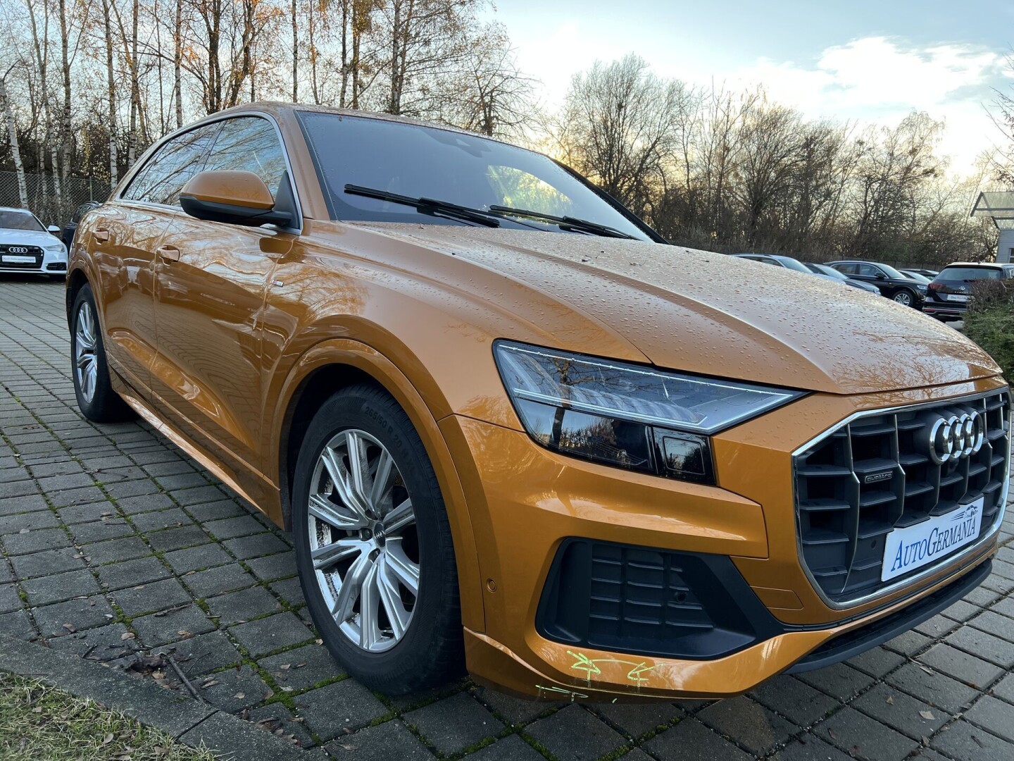 Audi Q8 50TDI 286PS S-Line Matrix Individual З Німеччини (84840)