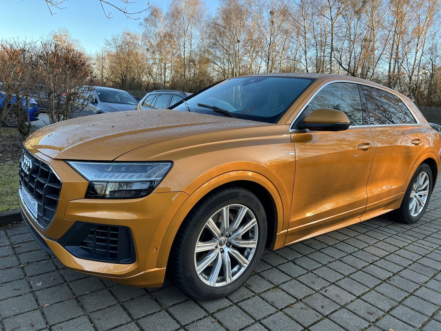 Audi Q8 50TDI 286PS S-Line Matrix Individual З Німеччини (84844)