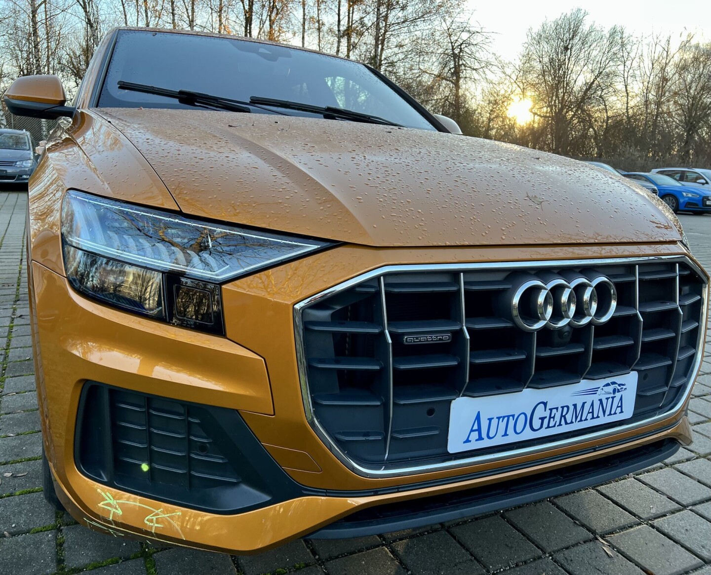 Audi Q8 50TDI 286PS S-Line Matrix Individual З Німеччини (84847)