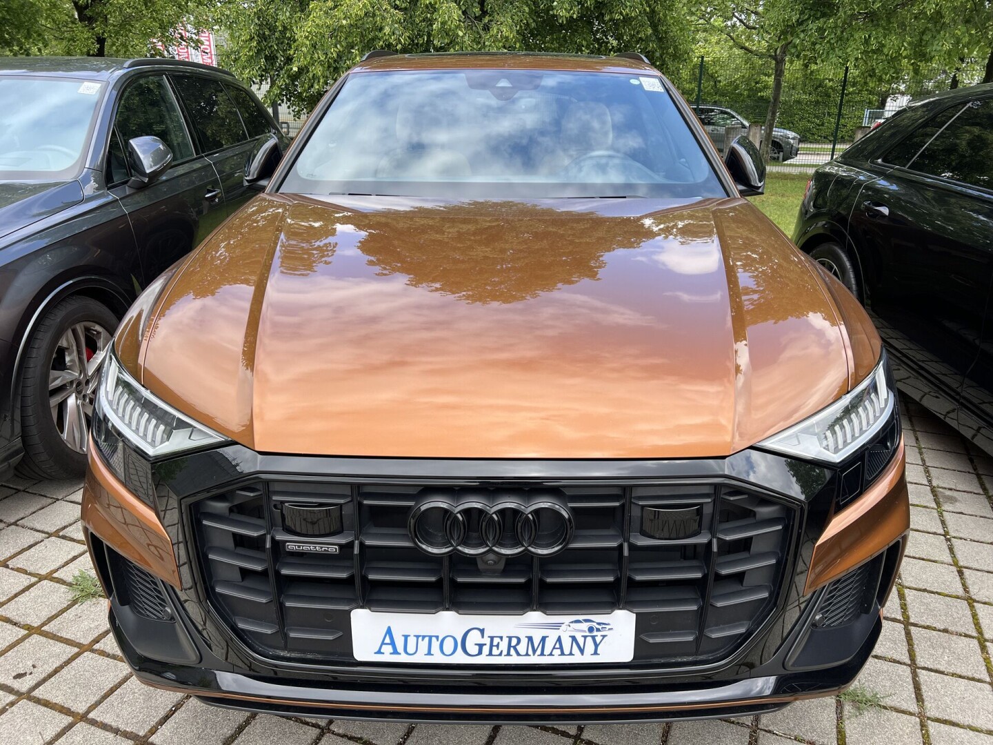 Audi Q8 Quattro 50TDI S-Line HD Matrix Exclusive Black-Paket  З Німеччини (116413)