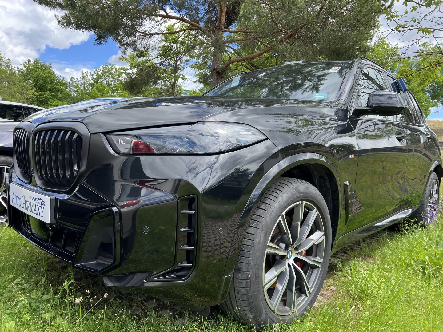 BMW X5 xDrive 30d 298PS M-Sport Pro Black-Paket From Germany (118859)