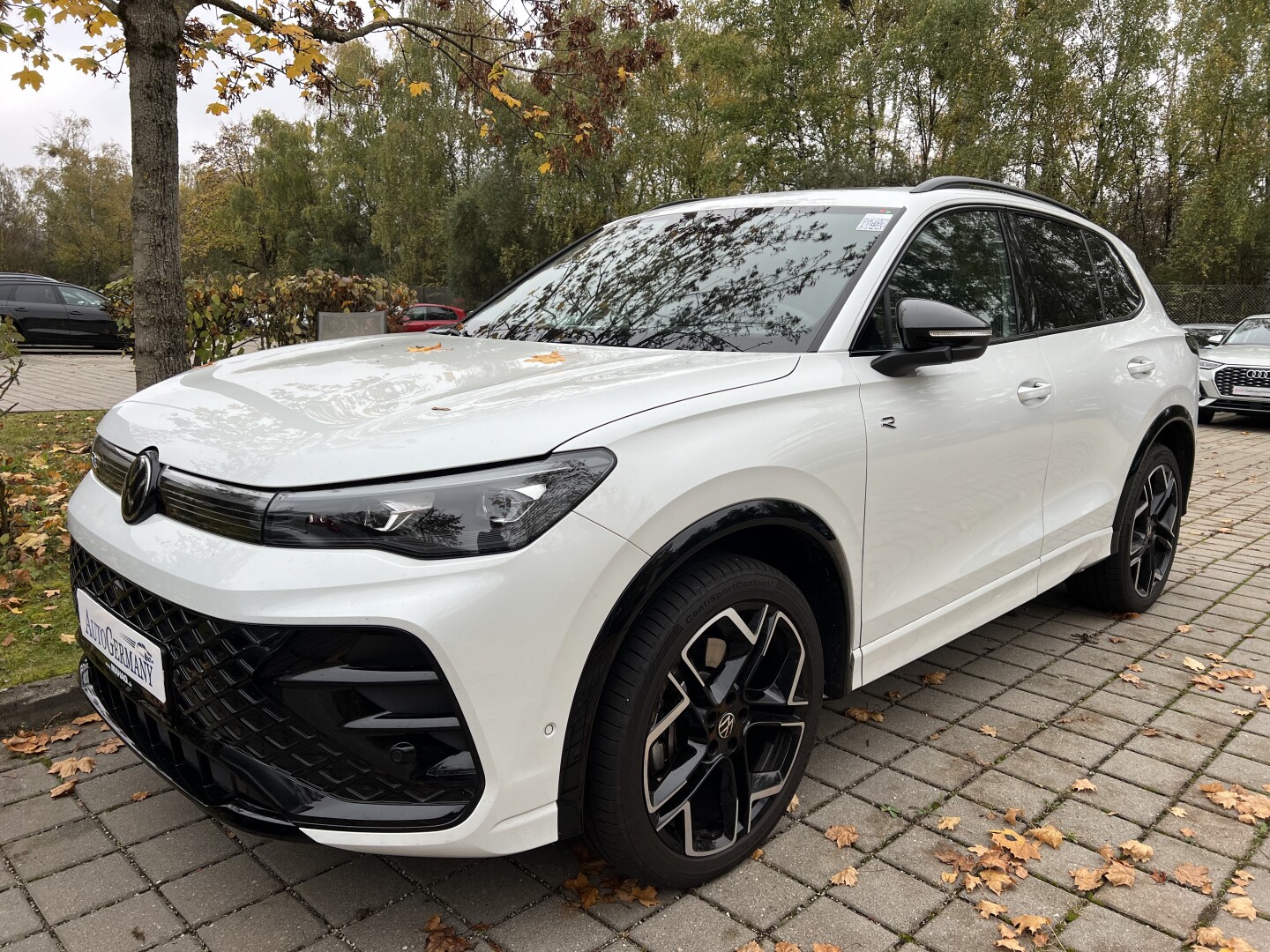 VW Tiguan 2.0TDI 193PS R-Line 4Motion IQ-LED Aus Deutschland (121897)