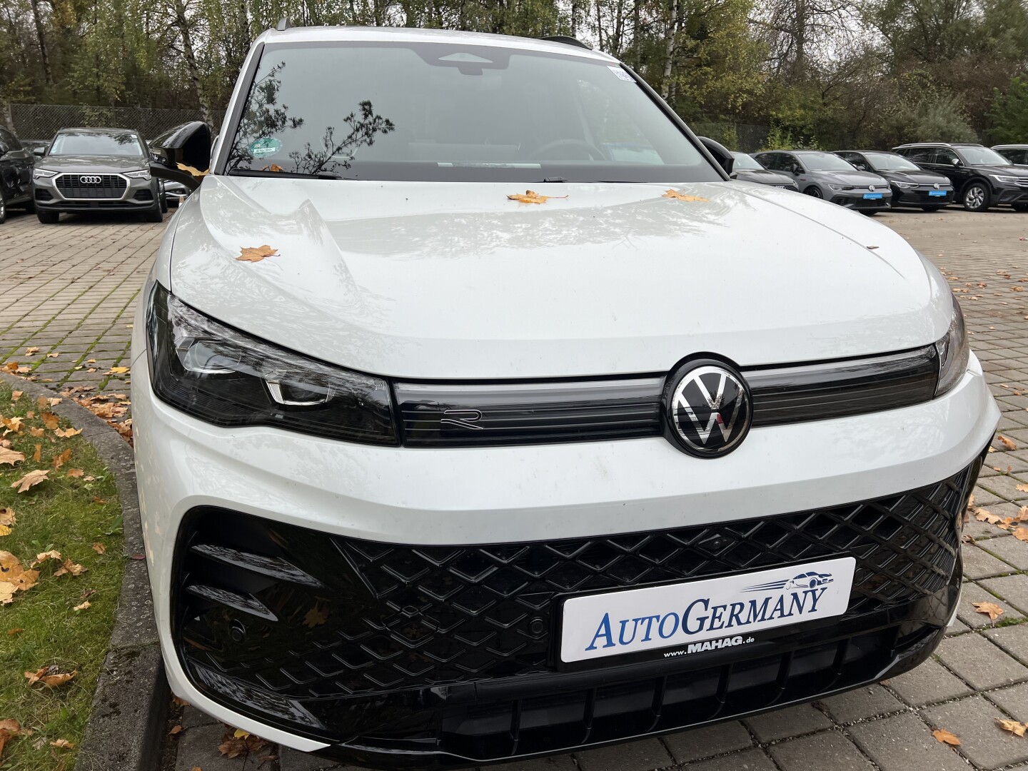 VW Tiguan 2.0TDI 193PS R-Line 4Motion IQ-LED Aus Deutschland (121889)