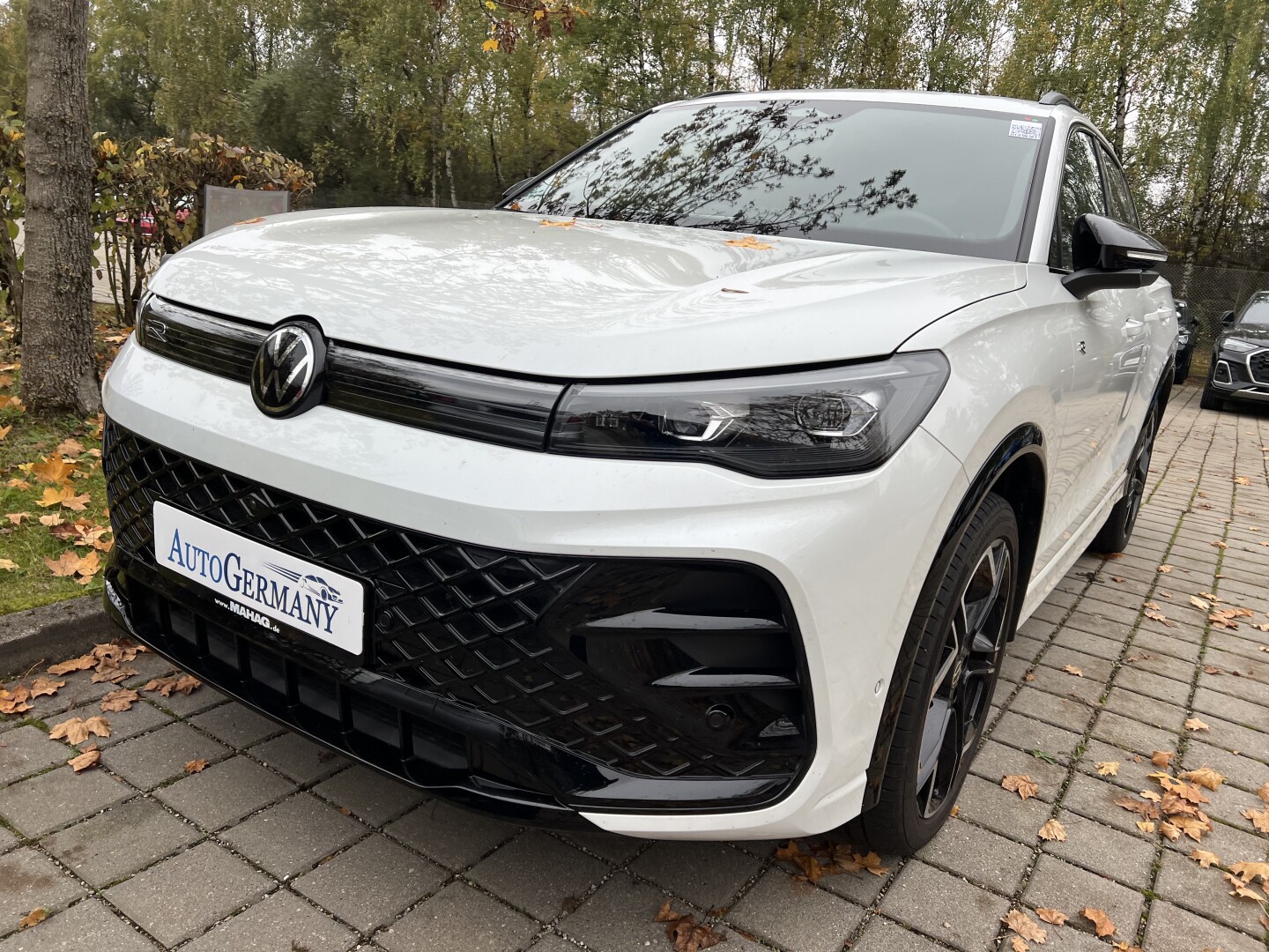 VW Tiguan 2.0TDI 193PS R-Line 4Motion IQ-LED Aus Deutschland (121896)