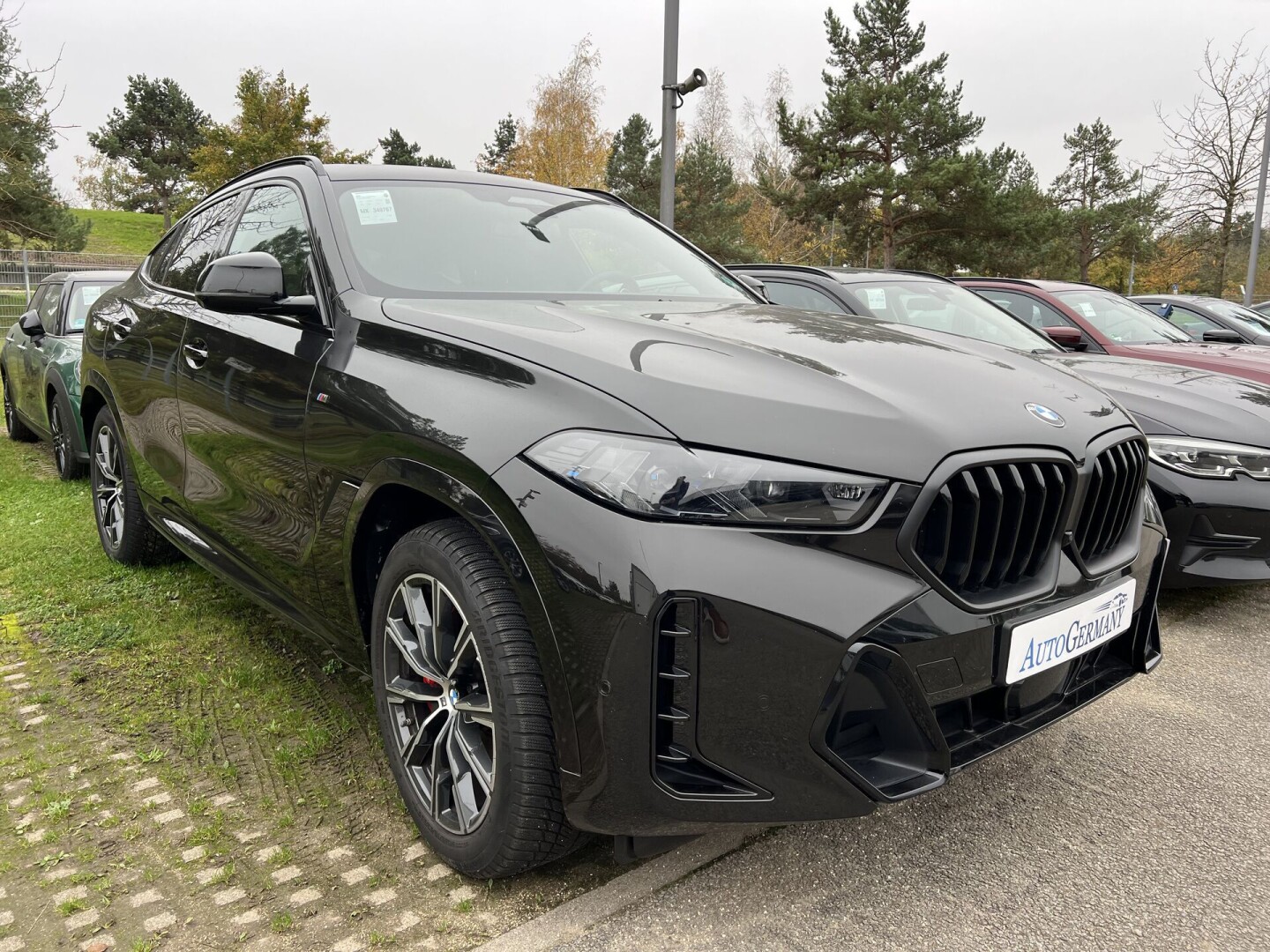 BMW X6 xDrive 30d M-Sport 298PS Black-Paket  З Німеччини (122940)