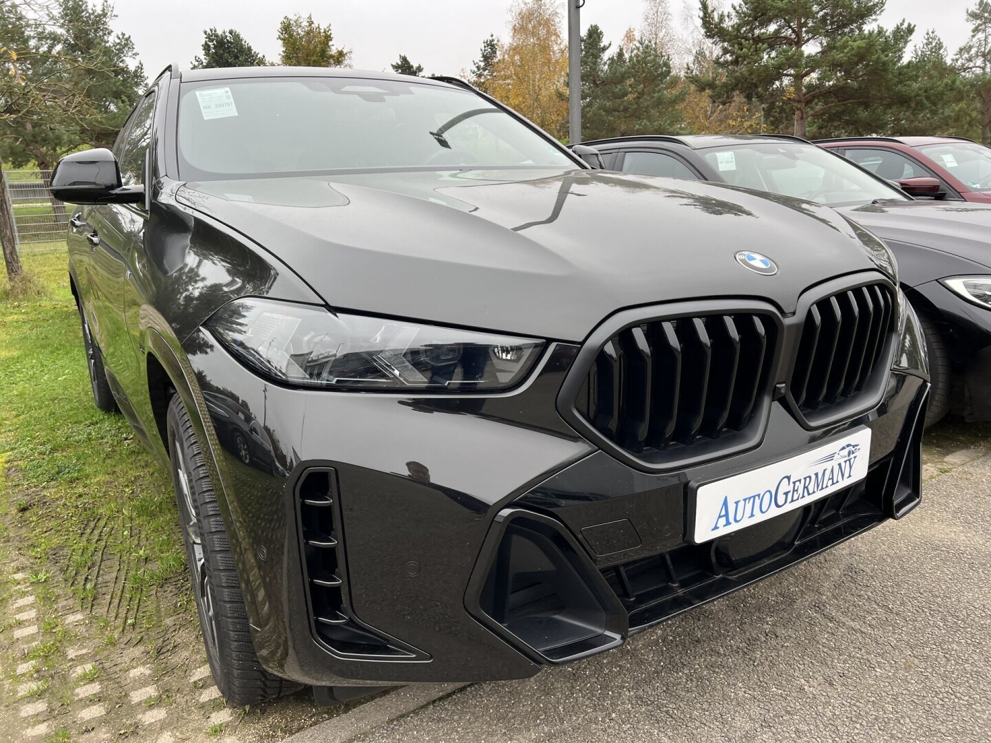 BMW X6 xDrive 30d M-Sport 298PS Black-Paket  З Німеччини (122941)