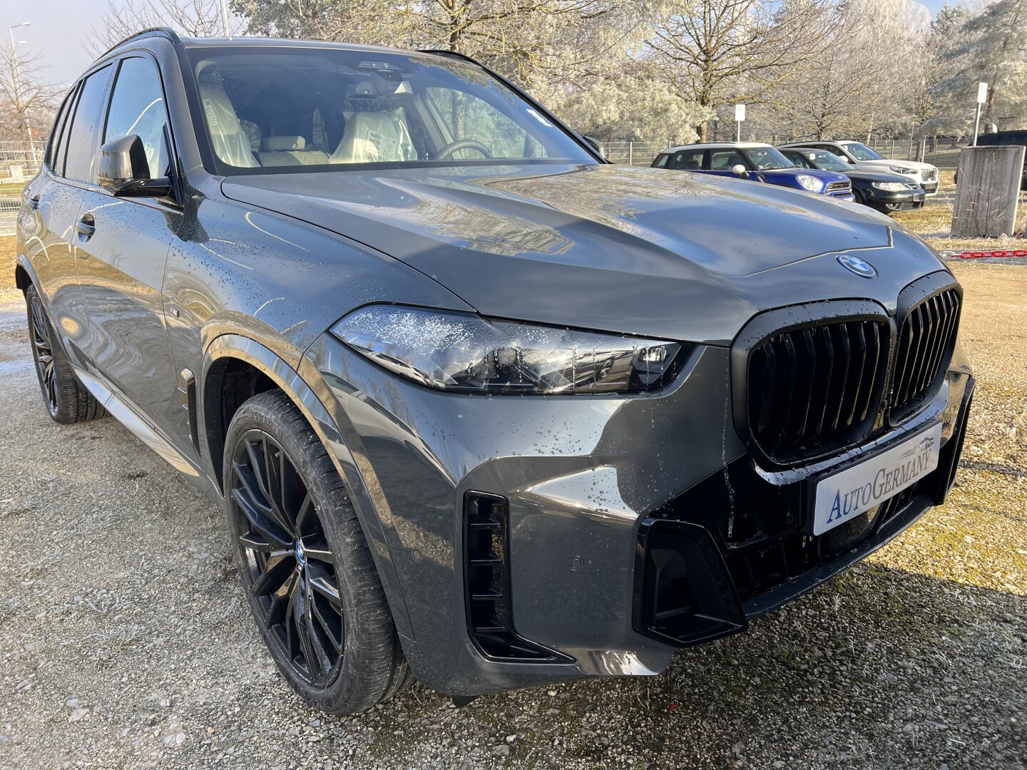 BMW X5 xDrive50e 489PS M-Sport Pro Black-Paket Aus Deutschland (124185)