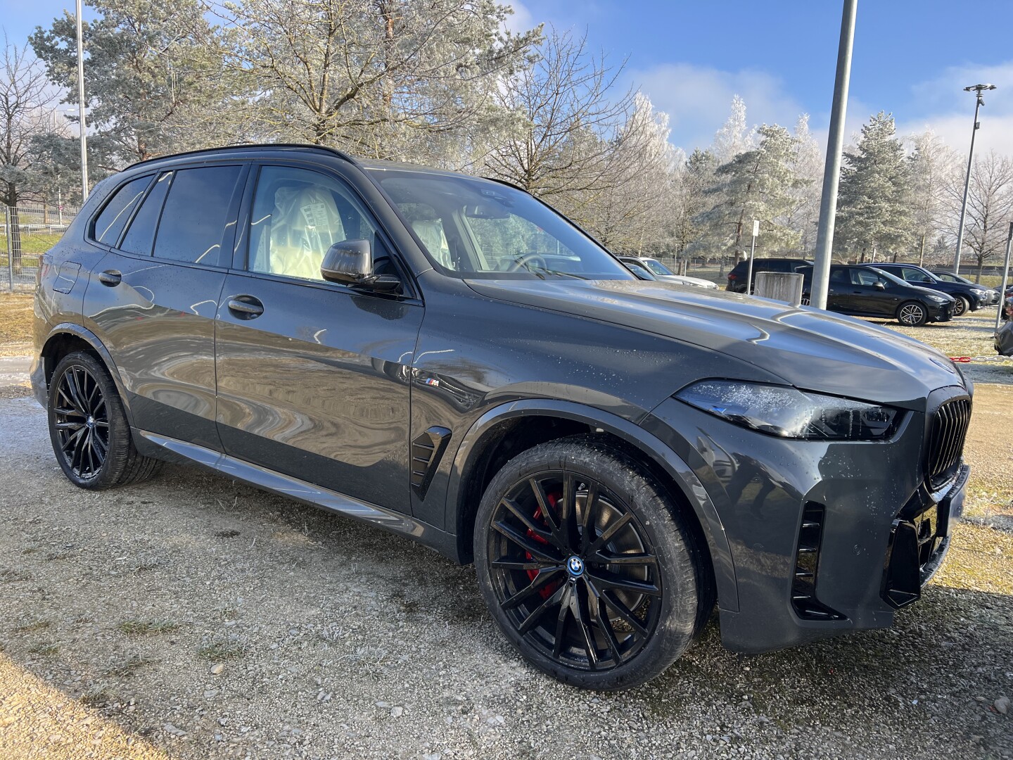 BMW X5 xDrive50e 489PS M-Sport Pro Black-Paket Aus Deutschland (124208)