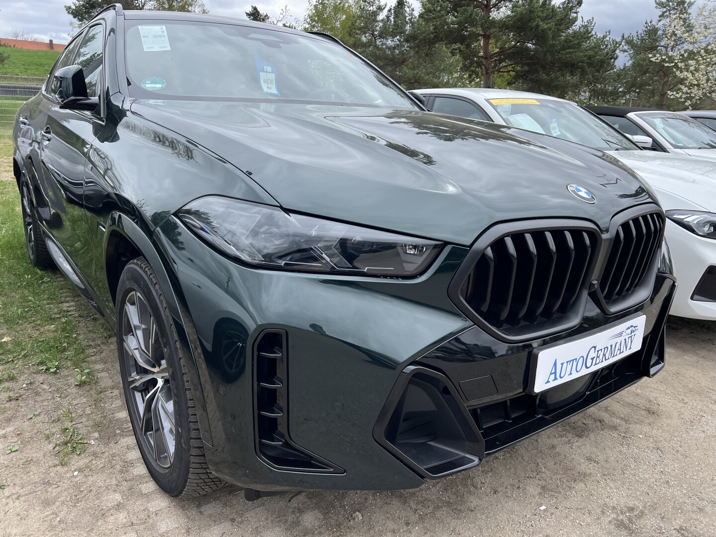 BMW X6 40d xDrive M-Sport Pro Black-Paket LED З Німеччини (127079)
