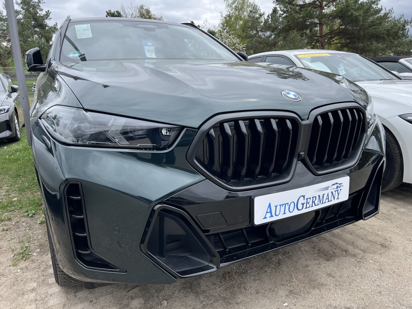 BMW X6 40d xDrive M-Sport Pro Black-Paket LED З Німеччини (127078)