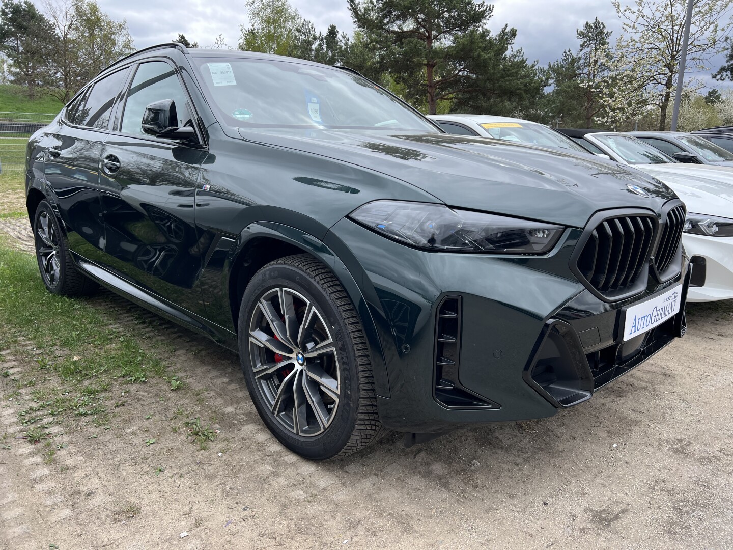BMW X6 40d xDrive M-Sport Pro Black-Paket LED З Німеччини (127077)