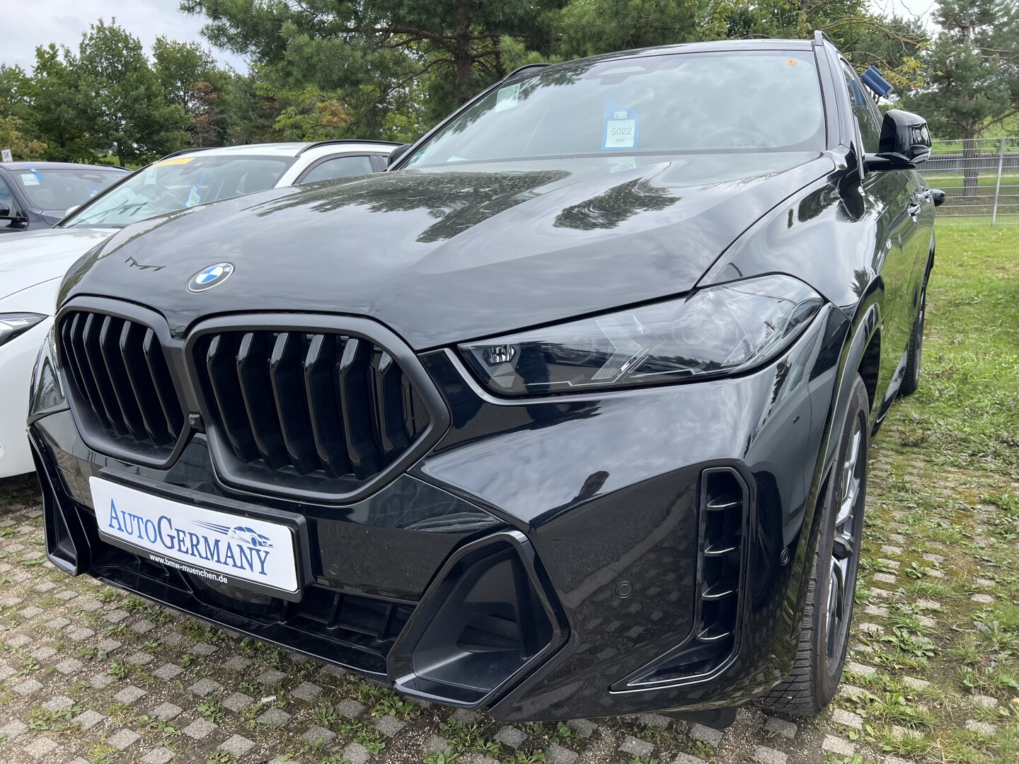 BMW X6 30d xDrive M-Sportpaket Laser З Німеччини (128461)