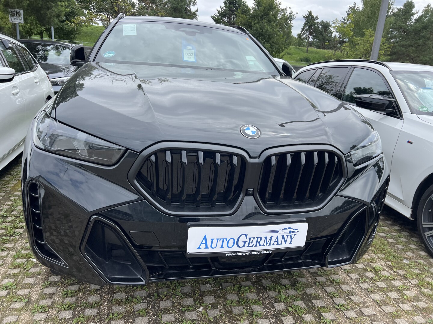 BMW X6 30d xDrive M-Sportpaket Laser З Німеччини (128463)