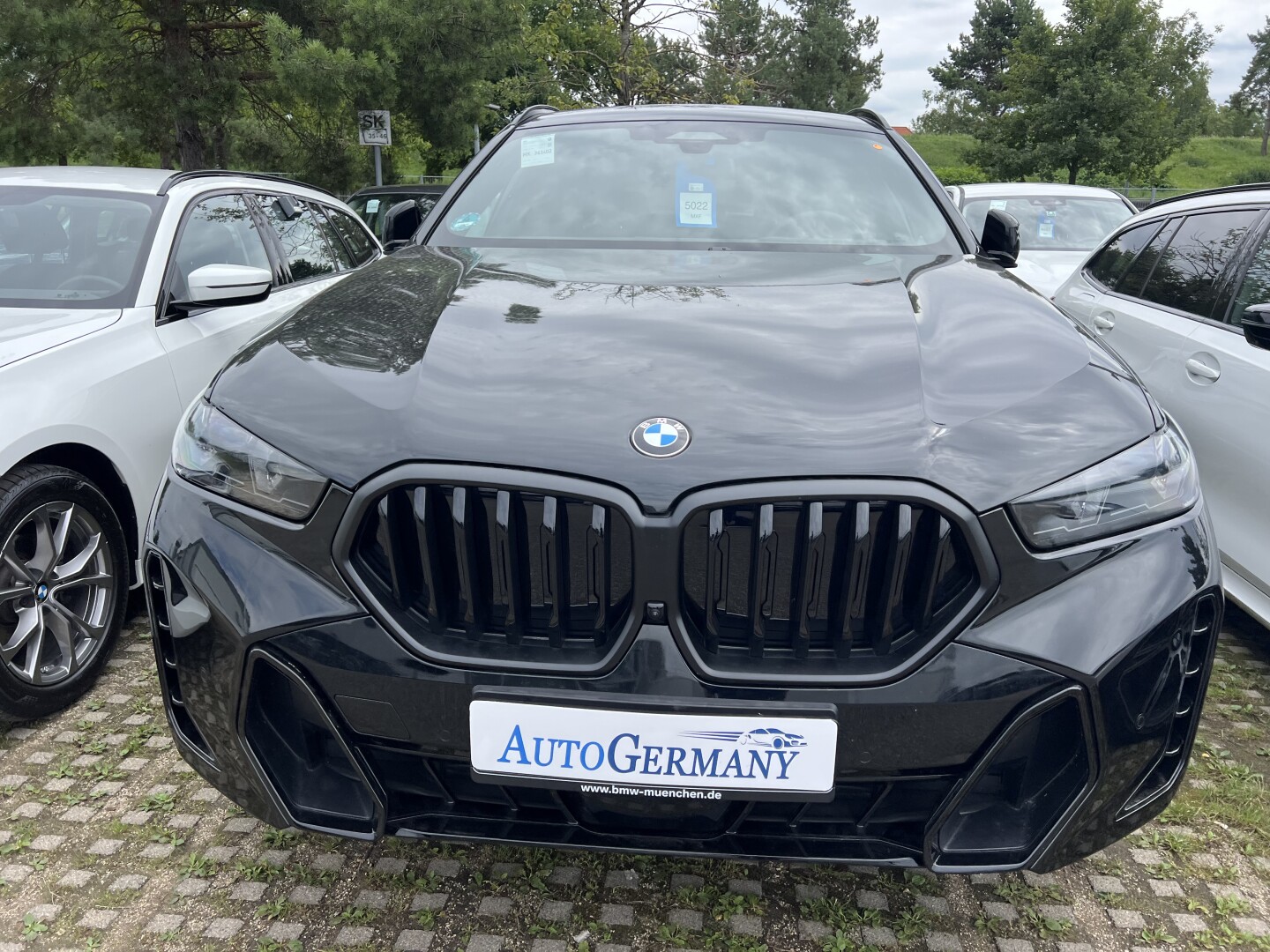 BMW X6 30d xDrive M-Sportpaket Laser З Німеччини (128465)