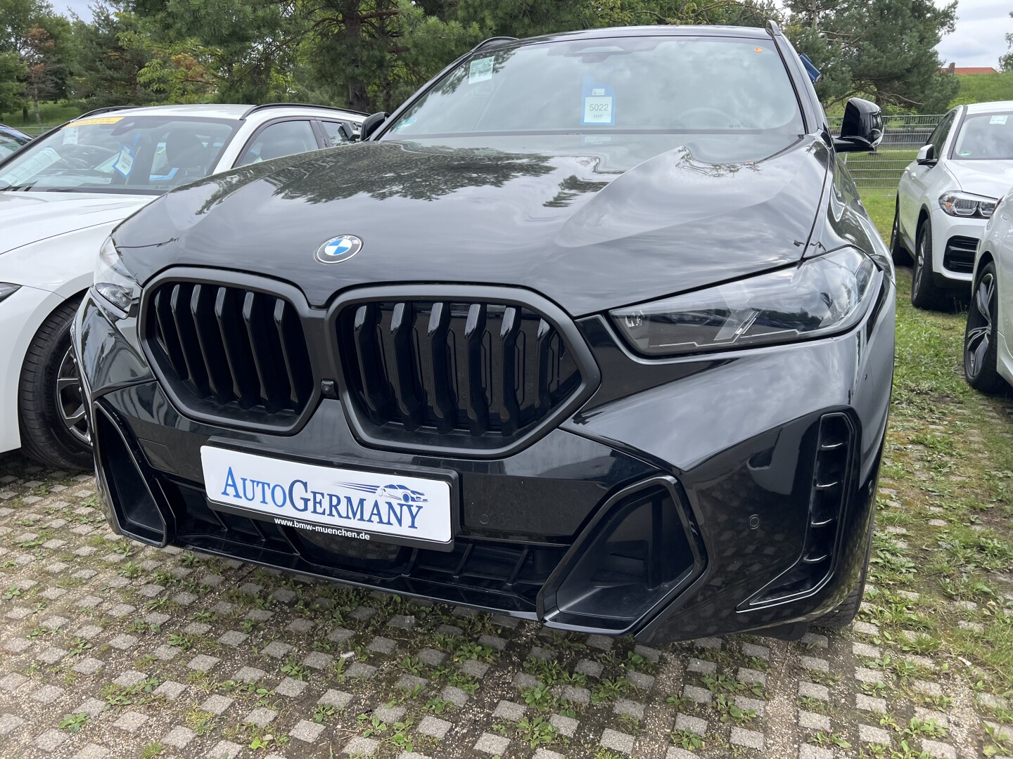 BMW X6 30d xDrive M-Sportpaket Laser З Німеччини (128464)