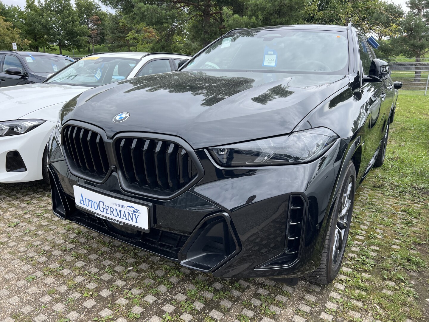 BMW X6 30d xDrive M-Sportpaket Laser З Німеччини (128467)