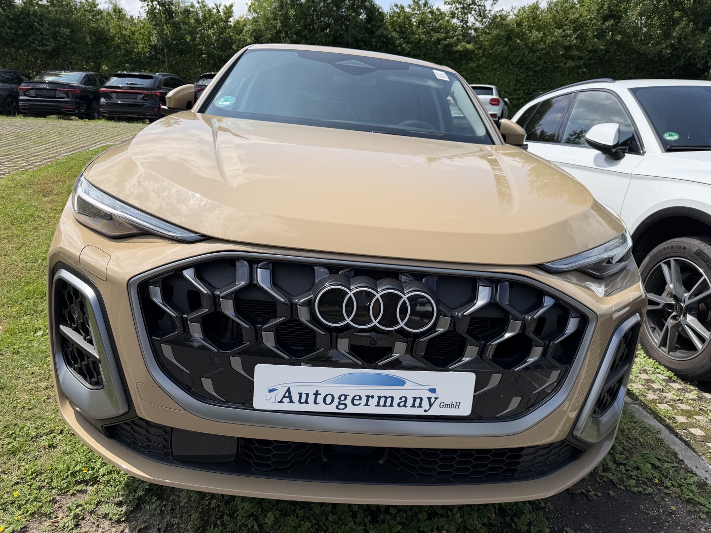 Audi Q5 Sportback 2.0 TDI S-Line Individual З Німеччини (131064)