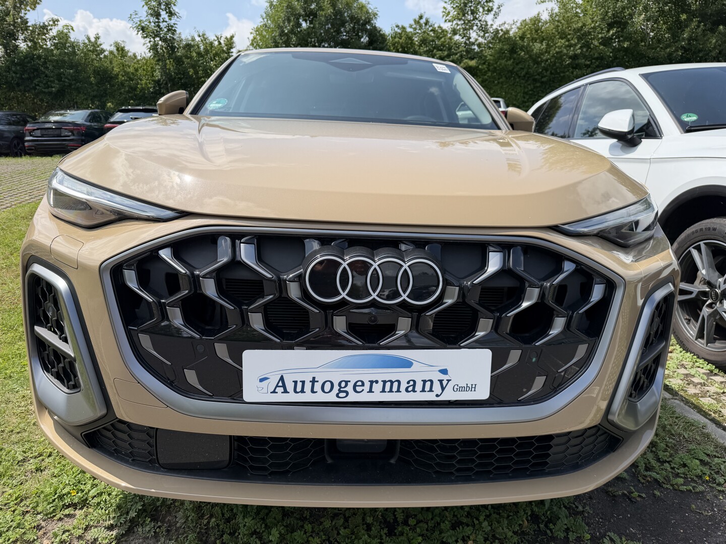 Audi Q5 Sportback 2.0 TDI S-Line Individual З Німеччини (131060)