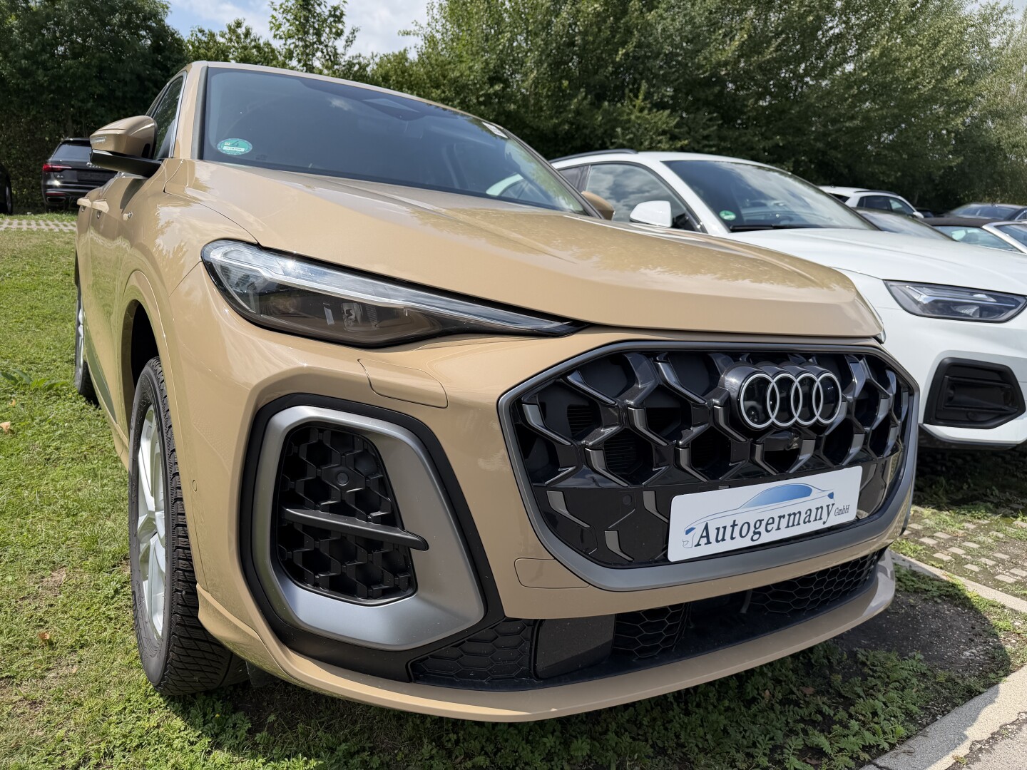 Audi Q5 Sportback 2.0 TDI S-Line Individual З Німеччини (131061)