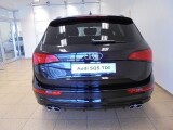 Audi SQ5 | 10115