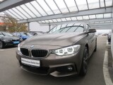 BMW 4-серии | 13624