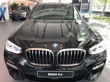 BMW X4  | 20442