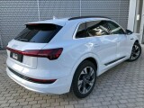 Audi e-tron | 20765