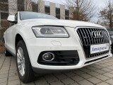 Audi Q5 | 25379