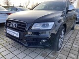Audi SQ5 | 27729