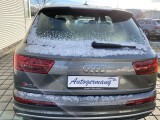 Audi SQ7 | 37549