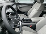 Audi e-tron | 38111