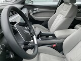 Audi e-tron | 38108
