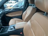 Mercedes-Benz GLE-Klasse | 38755