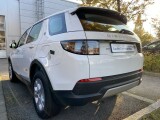 Land Rover Discovery | 56074