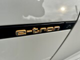 Audi e-tron | 60989